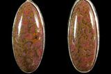 Polished Fossil Dinosaur Bone (Gembone) Earrings #115185-1